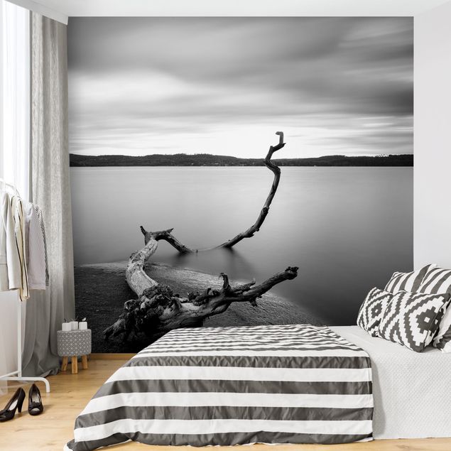Fototapeter svart och vitt Sunset In Black And White By The Lake