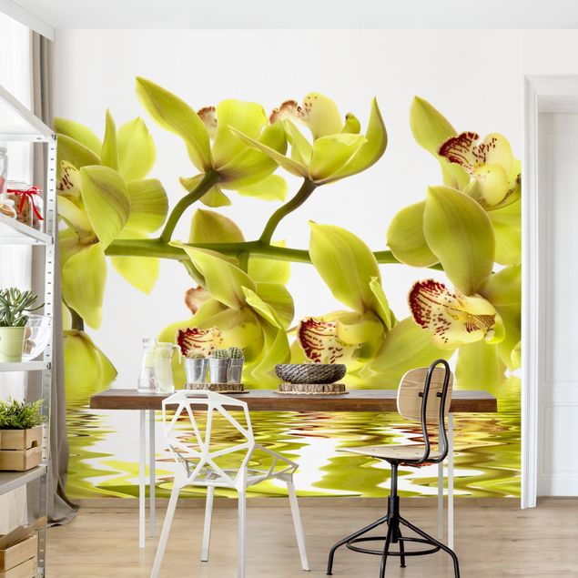Kök dekoration Splendid Orchid Waters