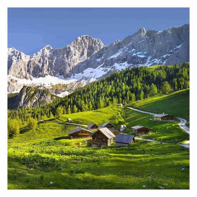 Fototapeter grön Styria Alpine Meadow