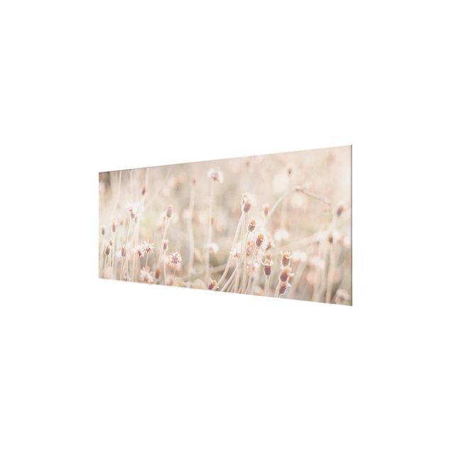 Glas Magnetboard Flowering Meadow In the Sun
