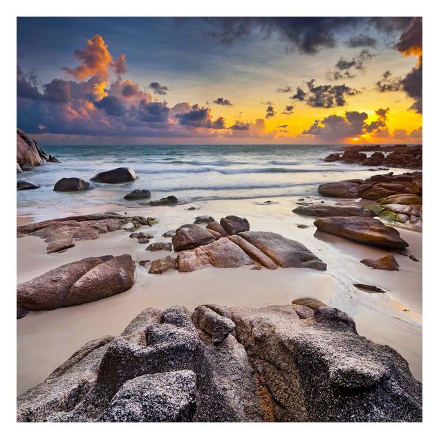 Tavlor Rainer Mirau Sunrise Beach In Thailand