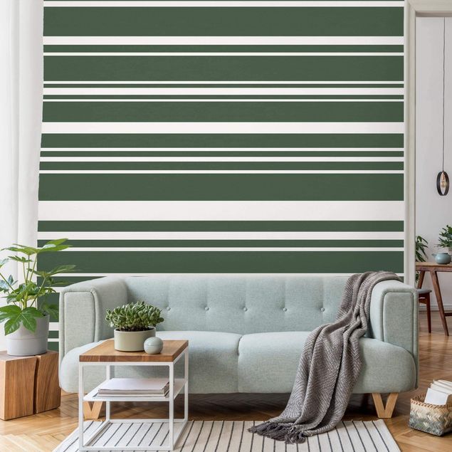 Tapeter remsor Stripes On Green Backdrop