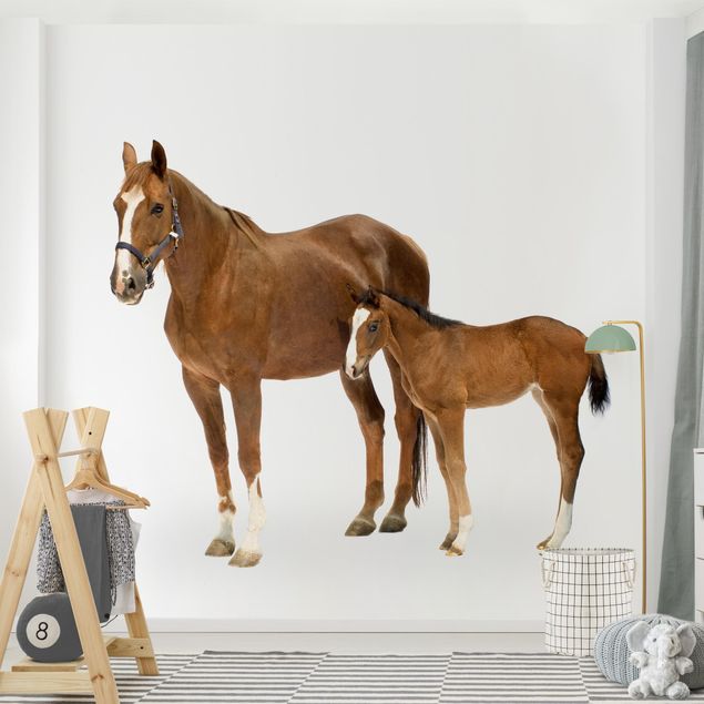Tapeter modernt Mare & Foal