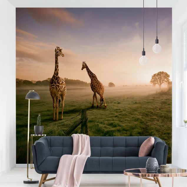 Fototapeter Afrika Surreal Giraffes