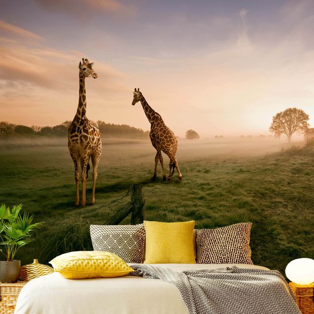Fototapeter arkitektur och skyline Surreal Giraffes