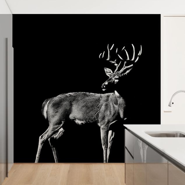Fototapeter svart och vitt Deer In The Dark