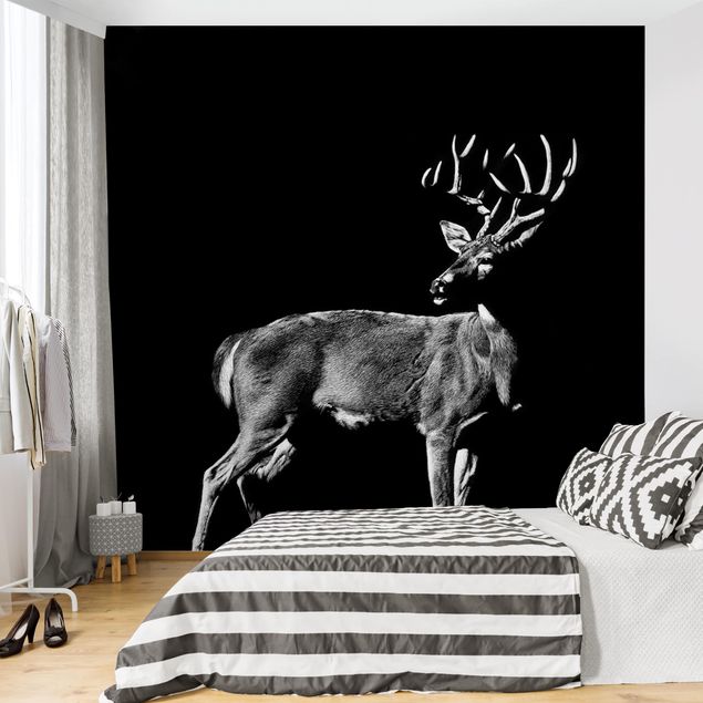 Kök dekoration Deer In The Dark