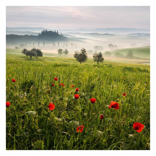 Fototapeter grön Tuscan Spring