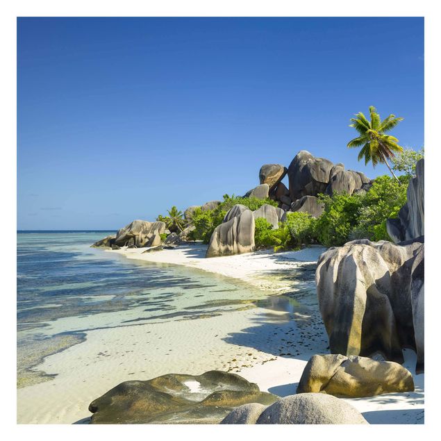 Tavlor Rainer Mirau Dream Beach Seychelles