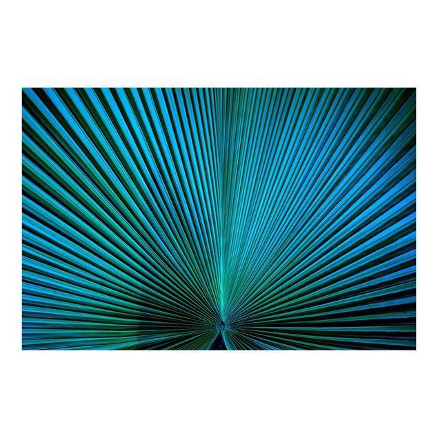 Tapeter Tropical Plants Palm Leaf In Turquoise ll