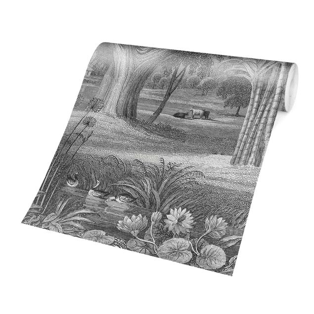 Fototapeter grått Tropical Copperplate Engraving Garden With Pond In Grey