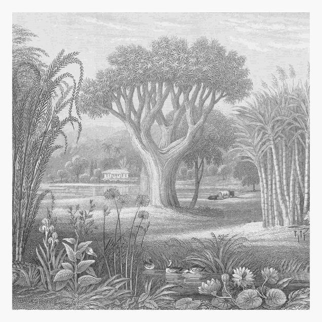 Tapeter Tropical Copperplate Engraving Garden With Pond In Grey
