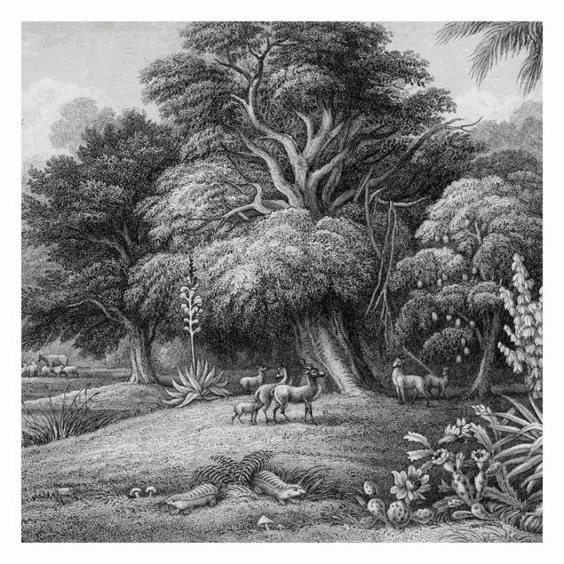 Tapeter Tropical Copperplate Engraving In Warm Grey