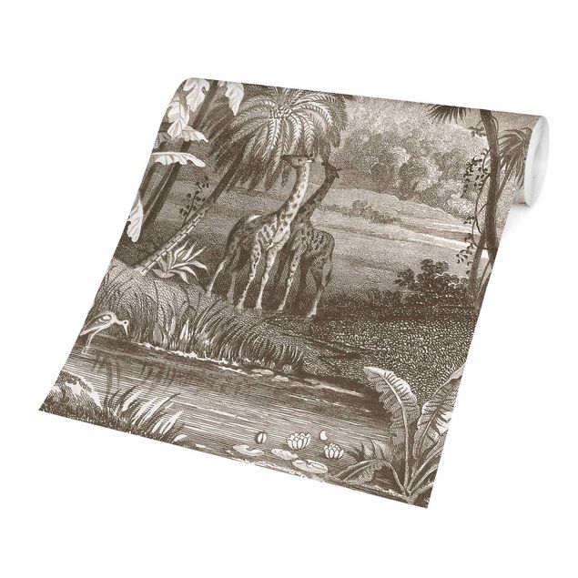 Tapeter modernt Tropical Copperplate Engraving With Giraffes In Brown