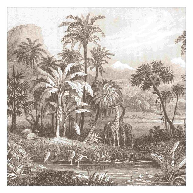 Tapeter vintage Tropical Copperplate Engraving With Giraffes In Brown