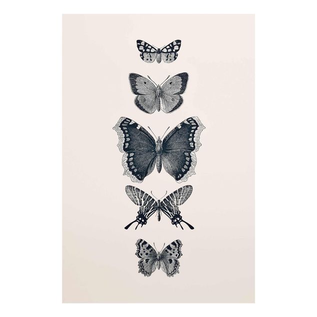Tavlor djur Ink Butterflies On Beige Backdrop