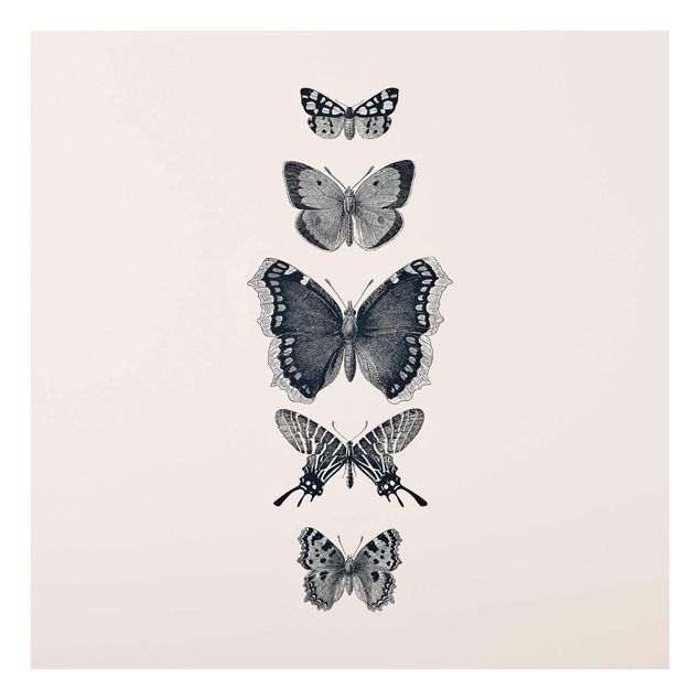 Tavlor djur Ink Butterflies On Beige Backdrop