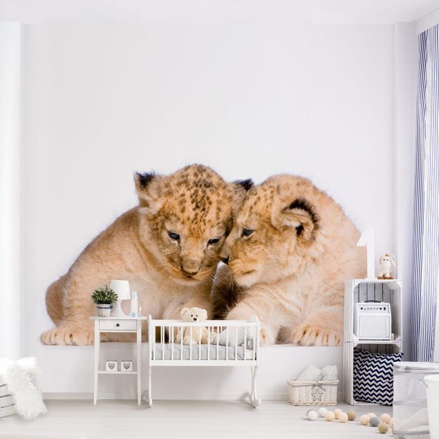 Tapeter modernt Two Lion Babys