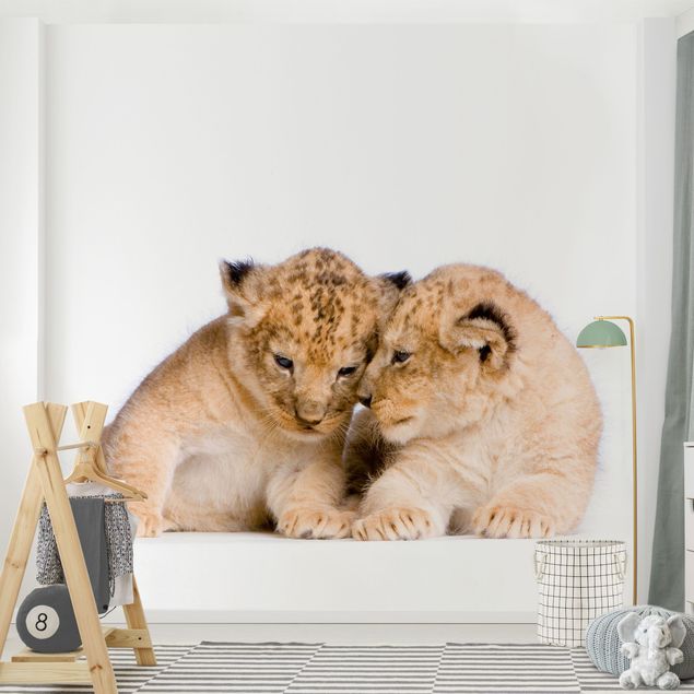Fototapeter djur Two Lion Babys
