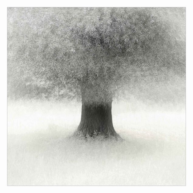 Tapeter Dreaming Tree In White