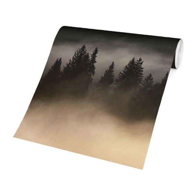 Fototapeter svart Dreamy Foggy Forest