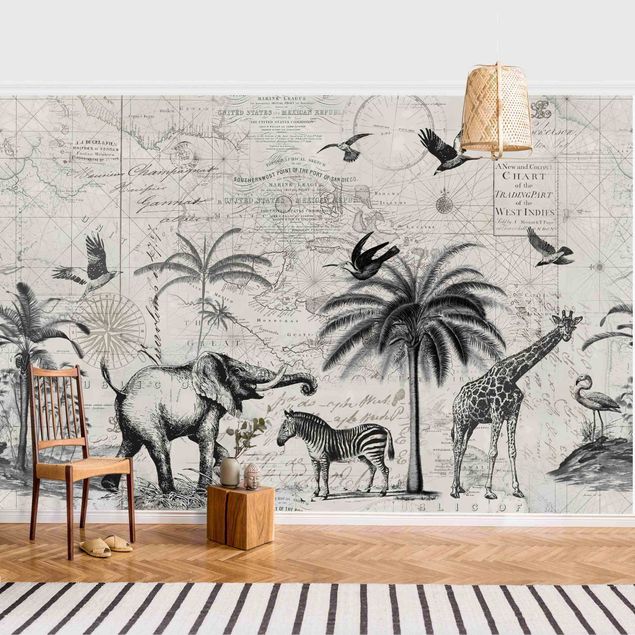 Fototapeter elefanter Vintage Collage - Exotic Map
