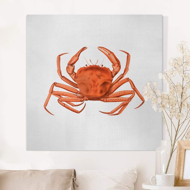 Canvastavlor fisk Vintage Illustration Red Crab