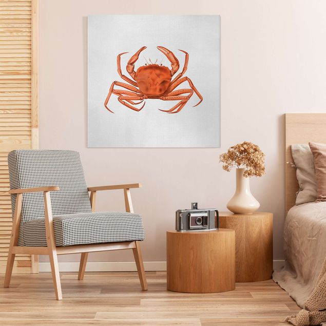 Tavlor fisk Vintage Illustration Red Crab