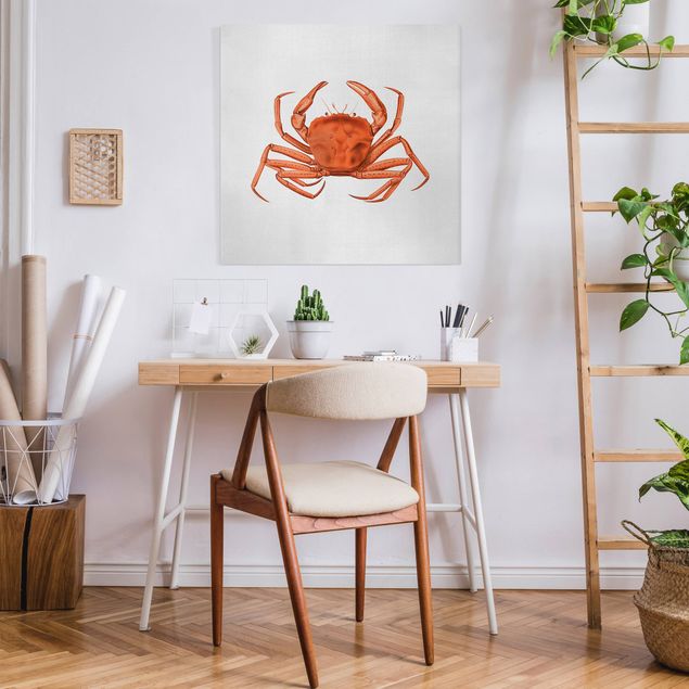 Tavlor landskap Vintage Illustration Red Crab