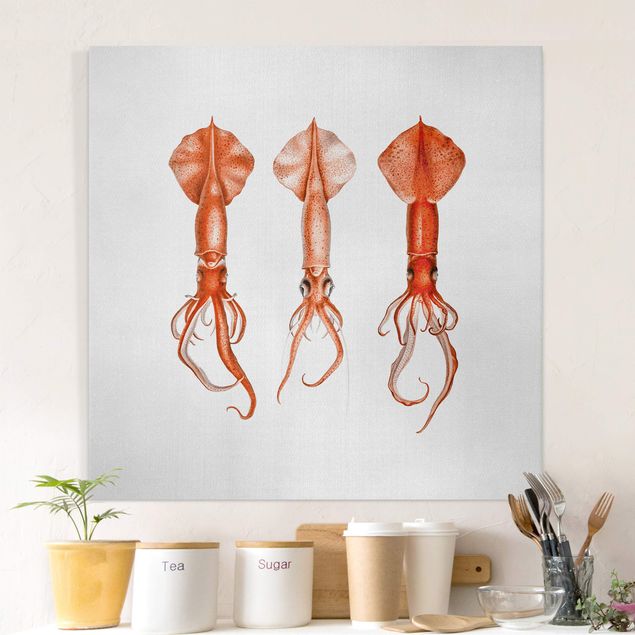 Canvastavlor fisk Vintage Illustration Red Squid