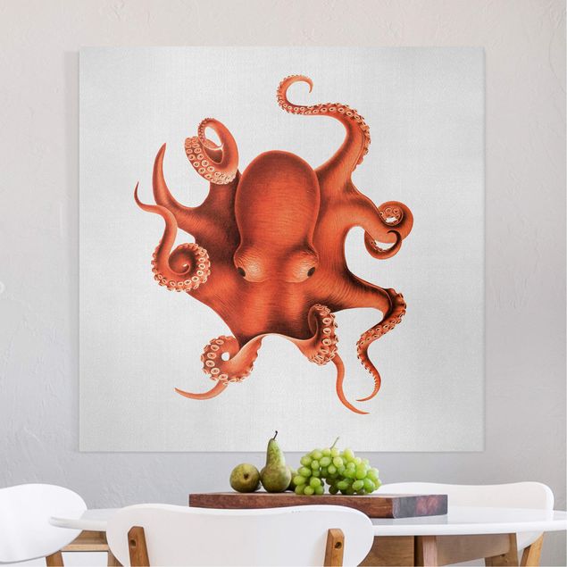 Canvastavlor fisk Vintage Illustration Red Octopus