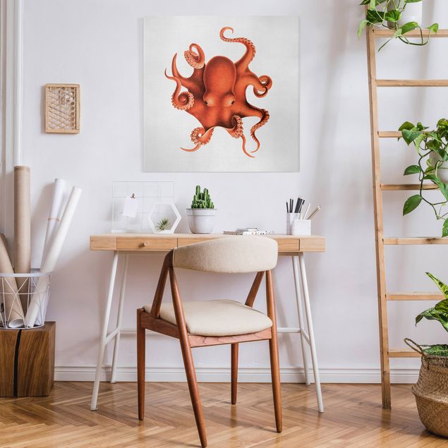 Tavlor fisk Vintage Illustration Red Octopus