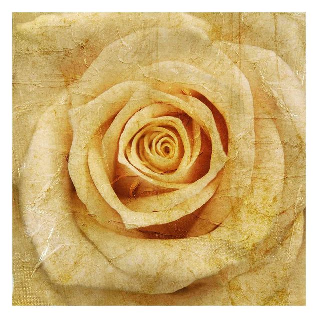 Tapeter Vintage Rose