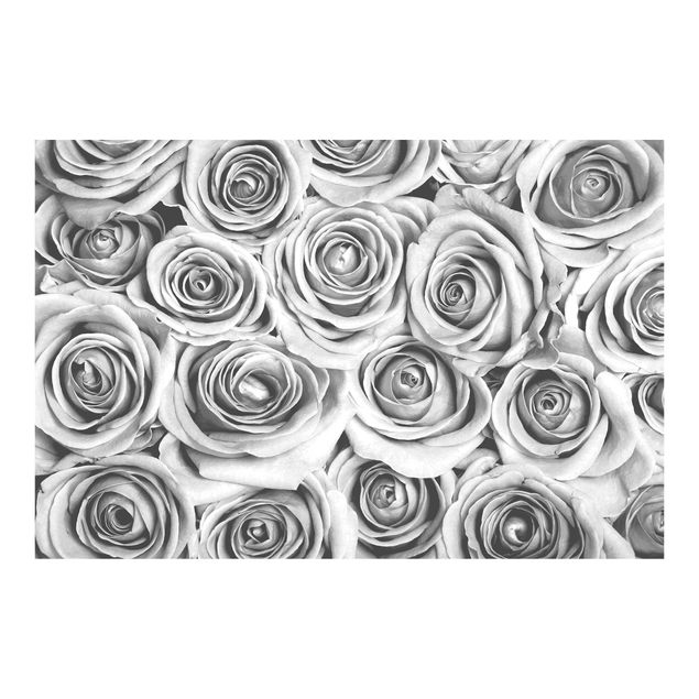 Tapeter Vintage Roses Black And White