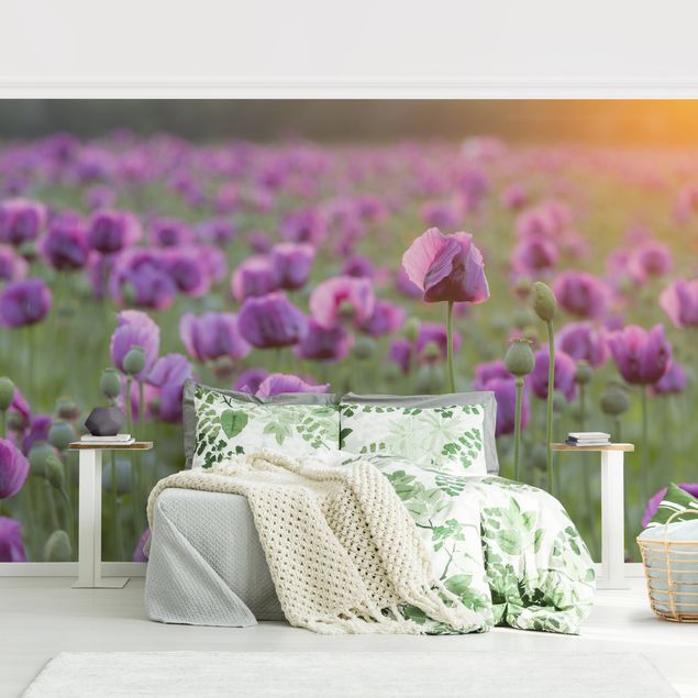 Kök dekoration Purple Poppy Flower Meadow In Spring