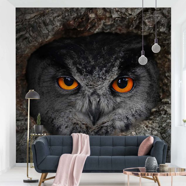 Kök dekoration Watching Owl