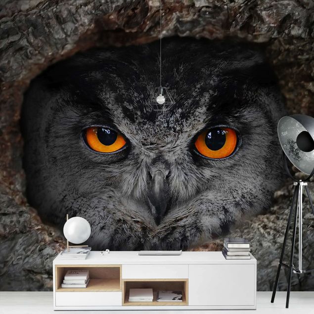 Fototapeter djur Watching Owl