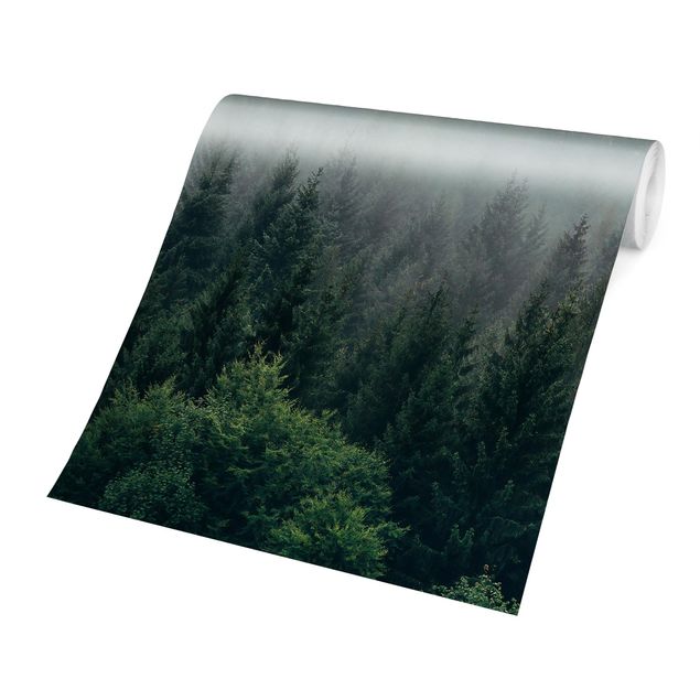 Fototapeter grön Foggy Forest Twilight