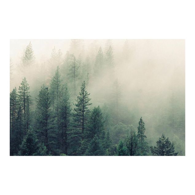 Tapeter Foggy Forest Awakening