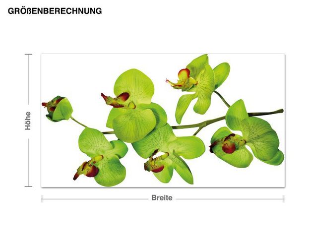 Wallstickers orkidéer Orchids In Yellow
