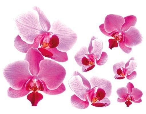 Autocolantes de parede orquídeas Pink Orchid