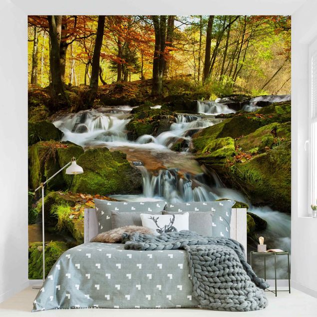 Kök dekoration Waterfall Autumnal Forest
