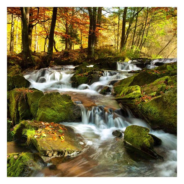 Fototapeter grön Waterfall Autumnal Forest