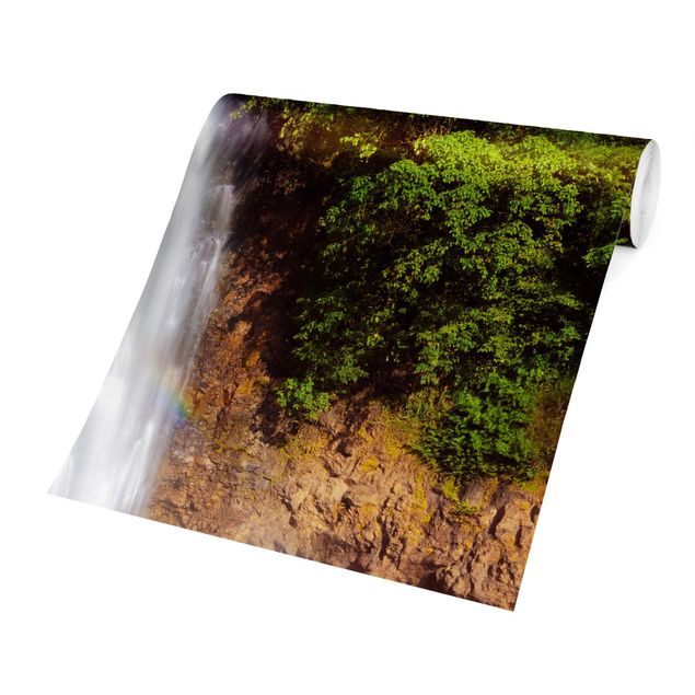 Fototapeter skogar Waterfall Romance