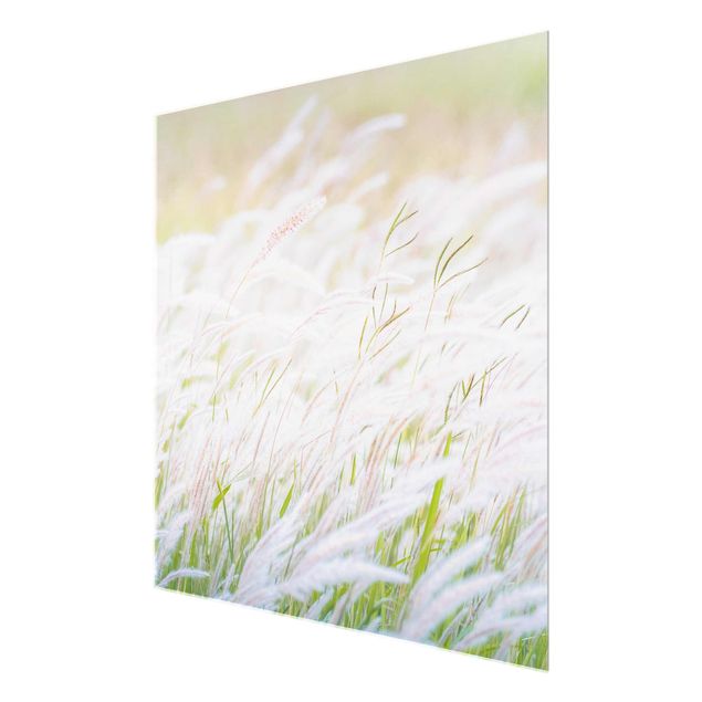 Glas Magnetboard Soft Grasses