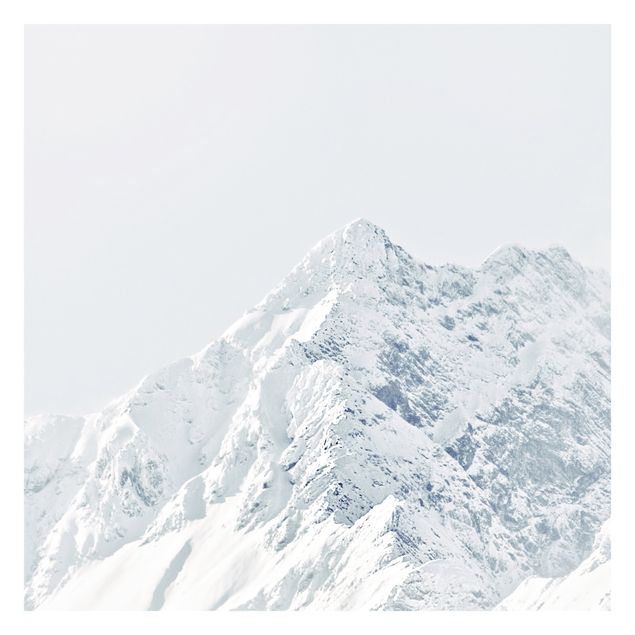 Tavlor Monika Strigel White Mountains