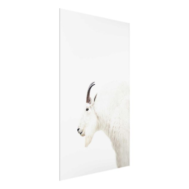 Glastavlor djur White Mountain Goat