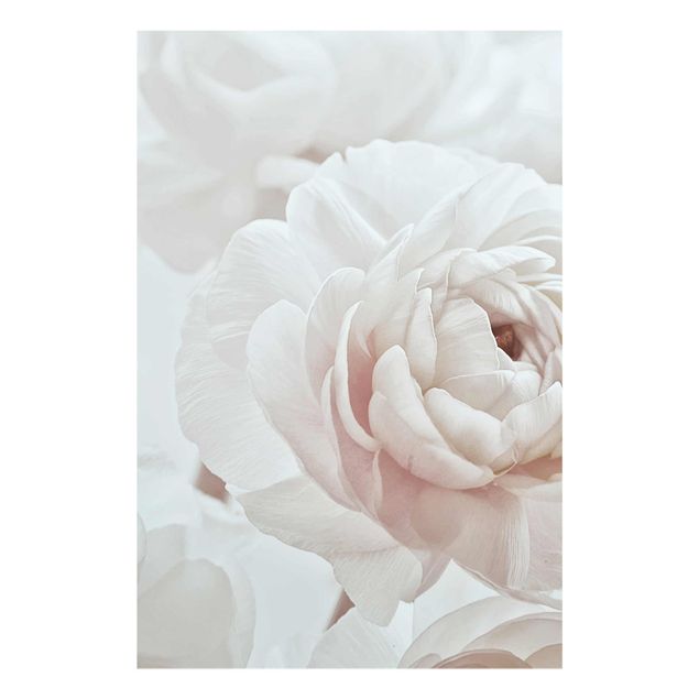 Tavlor blommor  White Flower In An Ocean Of Flowers