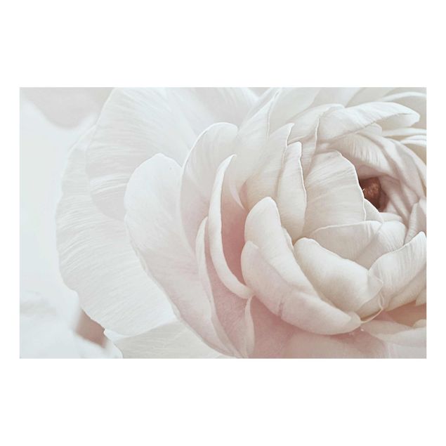 Tavlor blommor  White Flower In An Ocean Of Flowers