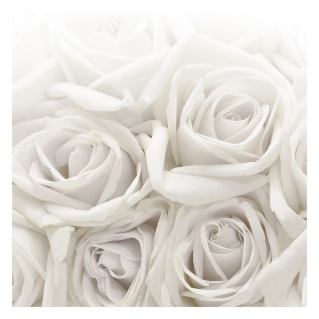 Tapeter White Roses